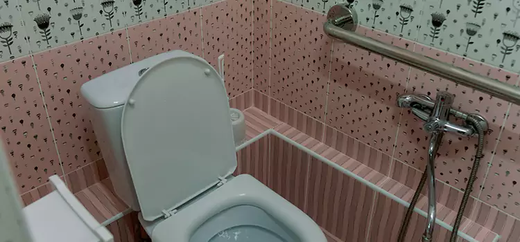 Meeting Diverse Needs With Accessible Restroom Solutions in Roseville, CA