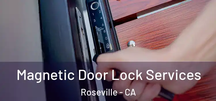 Magnetic Door Lock Services Roseville - CA
